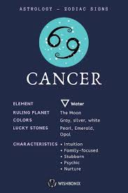 One of the key characteristics of this sign is their ability to find common ground with all different kinds of people. Sun Signs In Astrology And Their Meaning Zodiac Signs Cancer Cancer Zodiac Cancer Horoscope