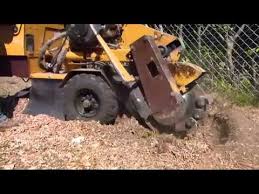 Enlever Detruire Une Souche D Arbre Souche 17 Youtube