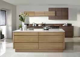 Sleek Handleless Kitchen Doors Handleless Kitchen Contemporary Kitchen Design Modern Kitchen Design