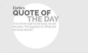 Forbes Quote Of The Day Google Search Forbes Quotes Quote Of The Day Quotes