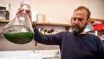  Researchers Look to Old Algae to Combat Alzheimer's