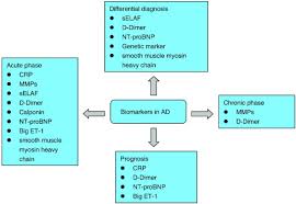 Image result for Connective Tissue Disorder