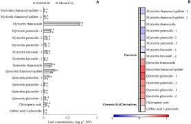 Maybe you would like to learn more about one of these? Metabolic And Physiological Alterations Indicate That The Tropical Broadleaf Tree Eugenia Uniflora L Is Sensitive To Ozone Sciencedirect
