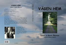Check spelling or type a new query. Vagen Hem Veroffentlichen Sie Ihr Buch Solentro