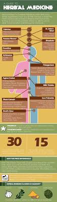 A Guide To Herbal Medicine Herbalism Herbal Medicine Natural Medicine