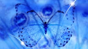 Blue Butterfly Wallpaper Hd Pixelstalk Net 7,000+ vectors, stock photos & psd files. blue butterfly wallpaper hd