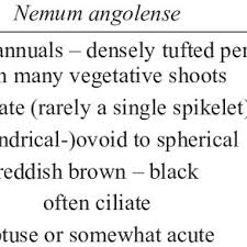 Image result for Nemum