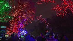 Boo At The Zoo Zoolights Canceled For Second Year Due To Covid 19 Concerns