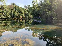Learn how to create your own. Wikiloc Kota Damansara Community Forest Reserve To Peak Of Denai Tiga Puteri Trail