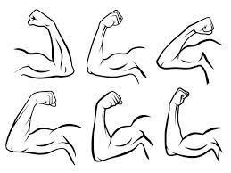 190 Flexing Bicep Drawing Illustrations & Clip Art - Istock