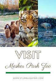 Why You Should Visit Mesker Park Zoo In 2020 Zoo Safari Travel Myakka River State Park