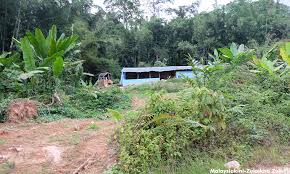 Antaranya termasuklah untuk pembalakan, pembinaan jalan raya, petempatan, kilang, perlombongan mineral dan pertanian. Malaysiakini Bagaimana Pembalakan Perkosa Hutan Orang Asli Di Kelantan