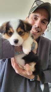 Debbie Beseth's Instagram, Twitter & Facebook