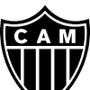 Fluminense share points with atletico mineiro in brazil. 1