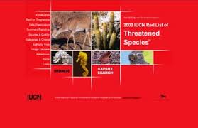 Image result for Gardenia transvenulosa