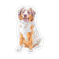 Australian Shepherd Sticker By Kavalenkava In 2021 Australian Shepherd Red Australian Shepherd Aussie Shepherd