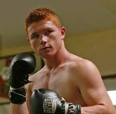 Santos saúl canelo álvarez barragán), род. Canelo Alvarez Canelo Alvarez Everlast Net Worth