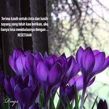 Terima Kasih Untuk Cinta Dan Kasih Sayang Yang Telah Kau Berikan Aku Hanya Bisa Membalasnya Dengan Kesetiaan Kesetiaan Cinta Terima Kasih