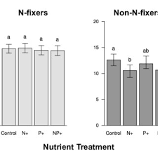 Image result for Acacia tenuispina