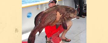 Tony Reyes Fishing Tours San Felipe Baja Mexico