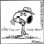 Episodio riportato su daylimotion qui il link della serie charlie brown the lonesome life of spike, the cousin of snoopy who lives in needles, california. Thread By Family Jules History Charlie Brown Stalwart Everyman Depressive Sports Fan Trier Loser First Appearance 2 October 1950 The First S Peanuts Humanerror