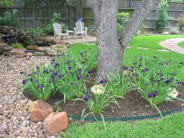 Designing An Iris Bed Austin Landscaper Hill Country Landscape Design Consulting Landscape Design Hardscape Landscape