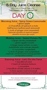 Pinterest Best 25 Juice Cleanse Ideas On Pinterest Detox Juice Cleanse 5e031d1b Resumesample Resumefo Juice Cleanse Recipes 5 Day Juice Cleanse Juice Cleanse