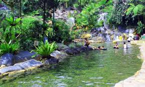 Standar biaya masukan tahun anggaran 2021 yang berfungsi sebagai estimasi. Objek Wisata Harga Tiket Masuk Pemandian Air Panas Ciater 2021