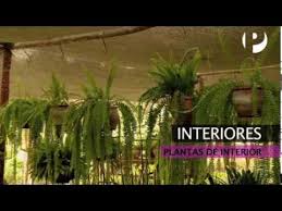 Check spelling or type a new query. Interiores Decoracion Con Plantas Youtube