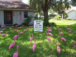 Our displays include a 2 ft x3 ft sign for a public message. Pink Flamingo Lawn Greetings 727 409 5590 Were Delivered To Dorothy In Clearwater In Celebration Of Her Birthday Lawn Signs 80th Birthday Birthday Yard Signs