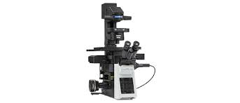 Inverted microscope in animal cell culture. Inverted Microscopes Olympus Ls