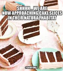 Now Approaching Cake Slices In Their Natural Habitat Cake Meme Of Cake Slices Funny Stuff Cake Meme Funny Cake Bad Cakes