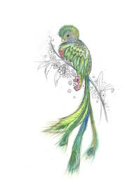 Quetzal Tattoo Google Search Tatuaje De Quetzal Grabados De Aves Tatuajes De Arte Corporal All the best quetzal drawing 38+ collected on this page. quetzal tattoo google search
