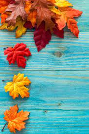  Autumn Leaves Nature Iphone Wallpapers Mobile9 Nature Iphone Wallpaper Fall Wallpaper Thanksgiving Wallpaper