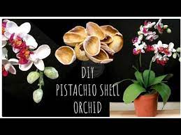 Pistachio Shell Flower Phalaenopsis Orchid Flower Making Pistashell Crafts Ep 51 Youtube Phalaenopsis Orchid Orchid Flower Orchids