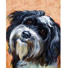 Black And White Havanese Puppy Havanese Dog Art Print Painting By Dottie Dracos Black And White Havanese Portrait Cuban With Images Dog Print Art Dog Art Dog Portraits Painting