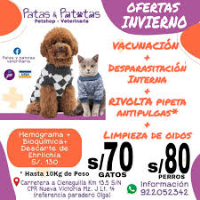 Patas & Patotas Veterinaria