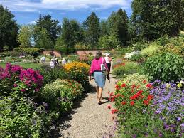 Garden Tours Blossom Throughout Maine In 2020 With Guided Or Self Guided Tours Showcasing Some Of Maine S Best Privat In 2020 Garden Tours Public Garden Annual Garden