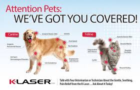 Welcome to alexandria veterinary clinic petcare center! Minnesota Valley Pet Hospital
