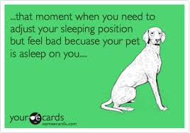 That Moment When You Need To Adjust Your Sleeping Position But Feel Bad Becuase Your Pet Is Asleep On You Sleeping Dogs I Love Dogs Funny