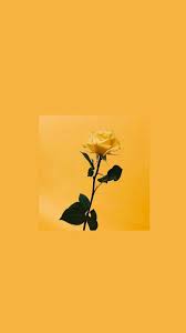 Maybe you would like to learn more about one of these? Wallpaper Android Yellow Aesthetic 2021 Android Wallpapers