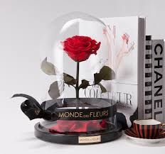 Dieses lied geht mir seit tagen nicht aus dem kopf. Rose Im Glas Und Flowerbox Monde Des Fleurs Rosen Im Glas Farbe Rose Die Schone Und Das Biest