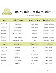 ZzZ Infant Sleep 0-4 Months