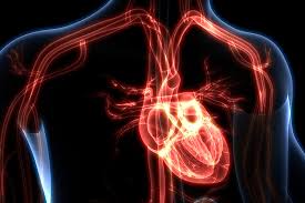 Myocarditis (mk) is a cardiovascular disease characterized by heart muscle damage due to the development of inflammation in the tissues of the organ. Recognition And Initial Management Of Fulminant Myocarditis Professional Heart Daily American Heart Association