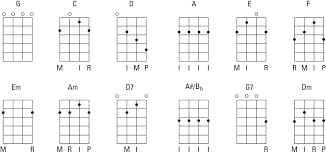 Banjo Chord Wall Chart Poster Fretboard Standard C Tuning 5