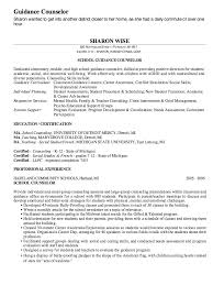 school counselor qualifications resume