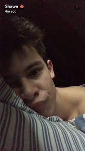 Shawn Mendes Shawnmendes Twitter Shawn Mendes Funny Shawn Mendes Memes Shawn Mendas
