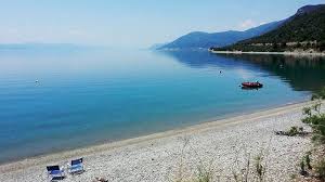We did not find results for: Rovies Camping N Eyboias Sterea Ellada Campingmap Gr O Pio Plhrhs Kai Eyxrhstos Katalogos Camping Ths Ellados