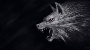The great collection of black wolf wallpapers for desktop, laptop and mobiles. Free Download Dark Wolf Wallpaper 2186x1229 For Your Desktop Mobile Tablet Explore 24 Dark Wolves Wallpapers Dark Wolves Wallpapers Wolves Backgrounds Wolves Wallpaper