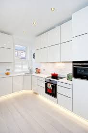 Small Ants In Kitchen Kitchen Fittings Contemporary Kitchen Decor Kitchen Design